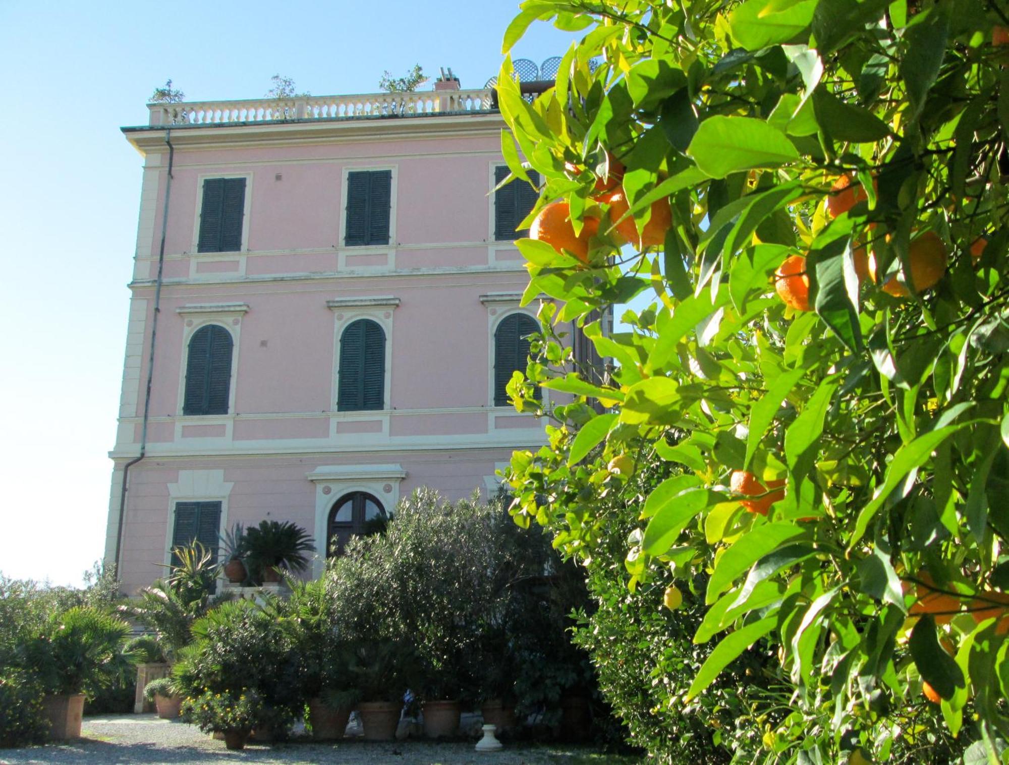 Hotel Italia Marina di Massa Ngoại thất bức ảnh